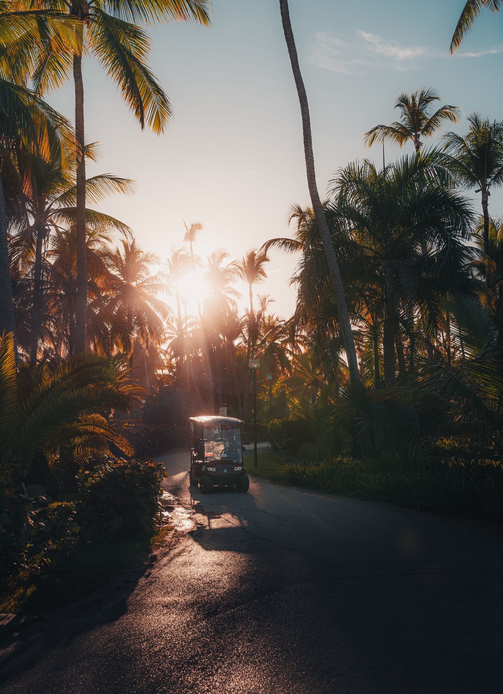 Tropical road for private transportation in Costa Rica