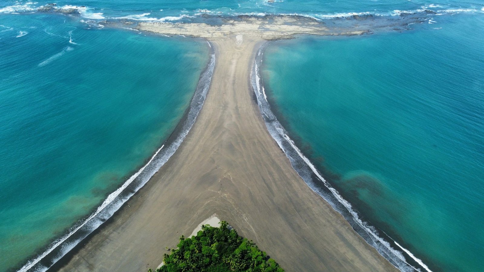 Ballena Bay and Whale Watching in Costa Rica