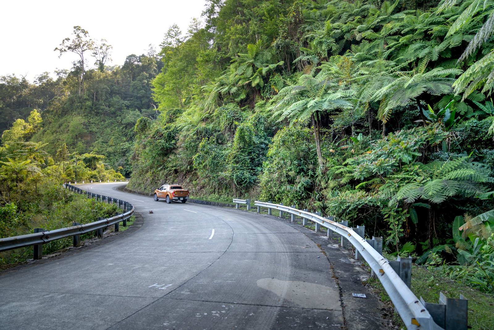 Private transportation on a tropical road